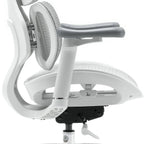 Nelvyo Ultimate || Chaise de bureau ergonomique à soutien lombaire