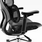 Nelvyo Ultimate || Chaise de bureau ergonomique à soutien lombaire