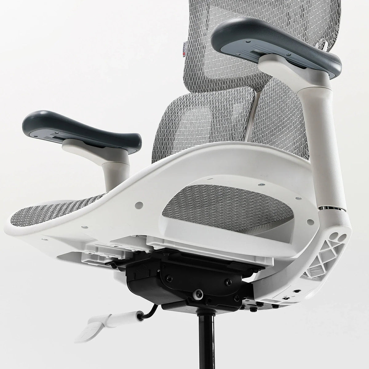 Nelvyo Ultimate || Chaise de bureau ergonomique à soutien lombaire