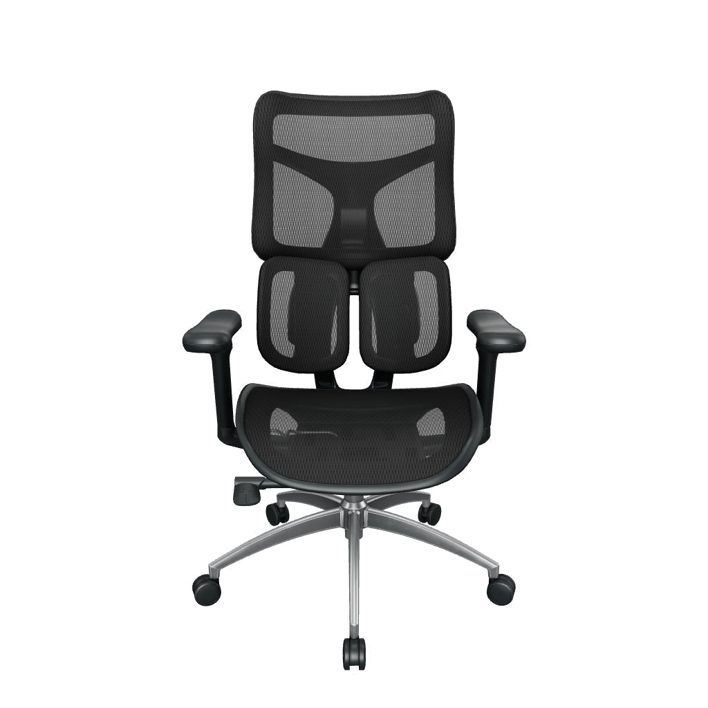 Nelvyo Ultimate || Chaise de bureau ergonomique à soutien lombaire