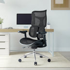 Nelvyo Ultimate || Chaise de bureau ergonomique à soutien lombaire